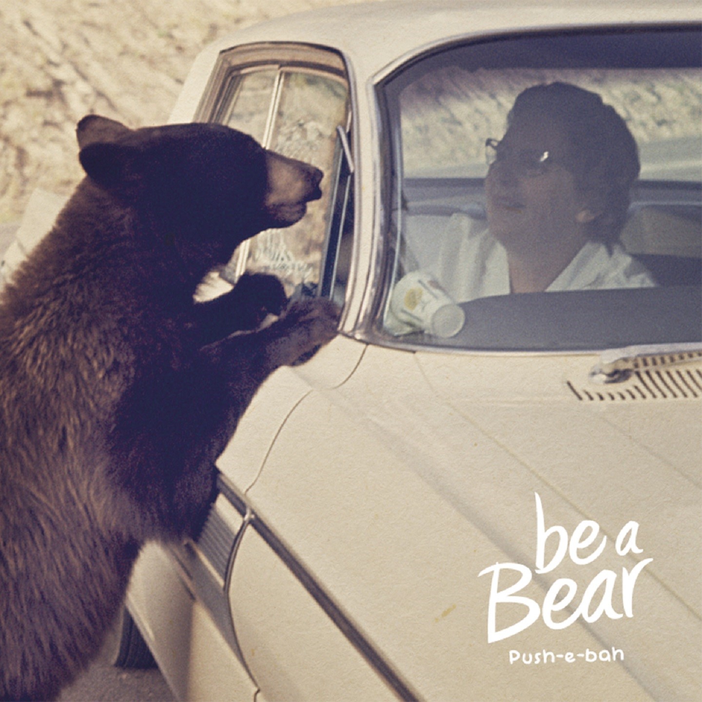 be a bear